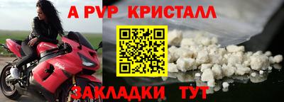гидра Славгород