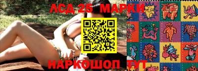 гидра Славгород