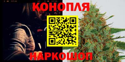 гидра Славгород