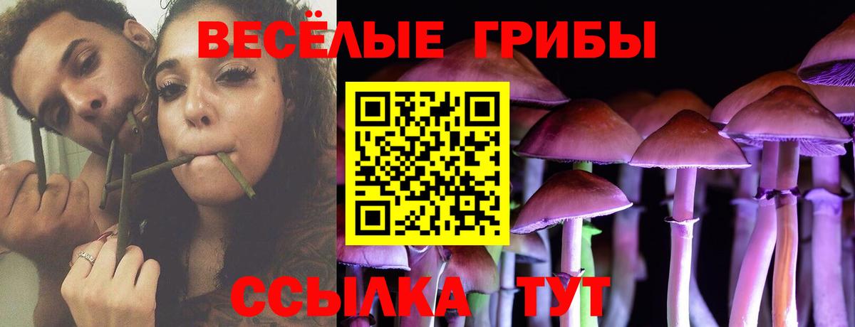 Галлюциногенные грибы Psilocybine cubensis  Вход с VPN  цена наркотик  Дальнереченск 