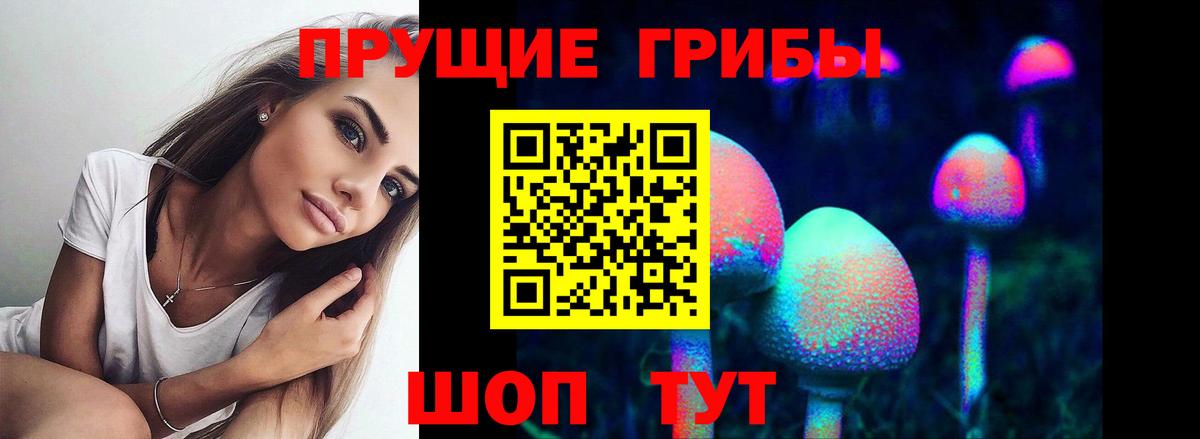 Галлюциногенные грибы Psilocybine cubensis Дальнереченск